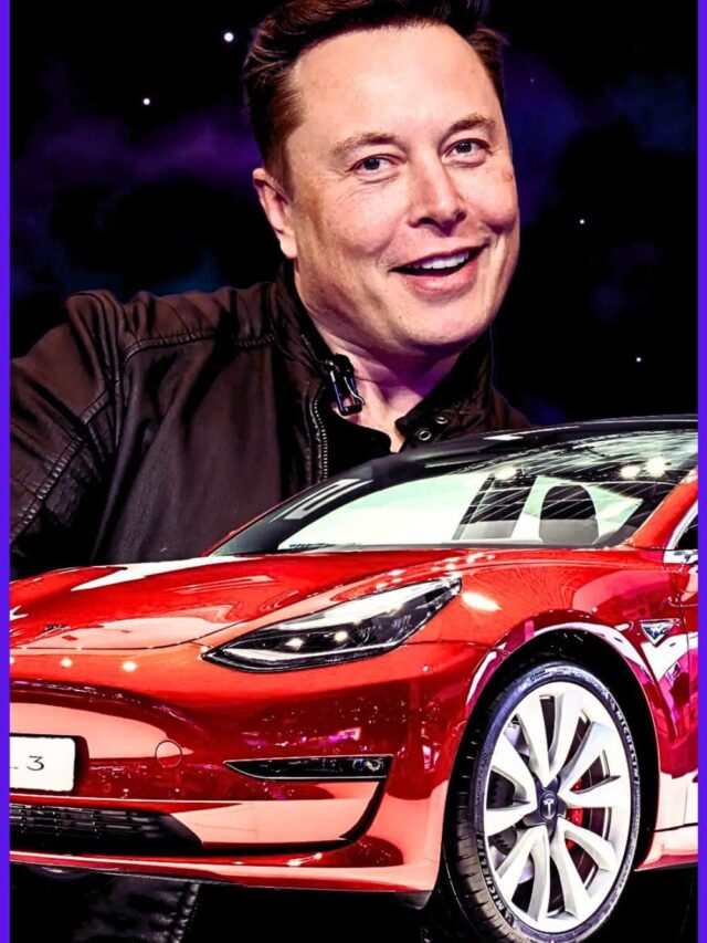 Tesla net worth (5)